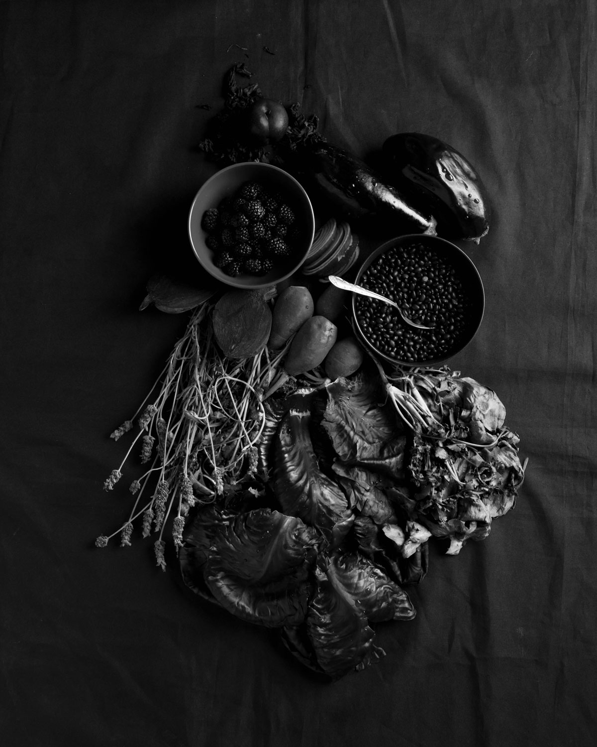 Fotografía de naturaleza en estudio