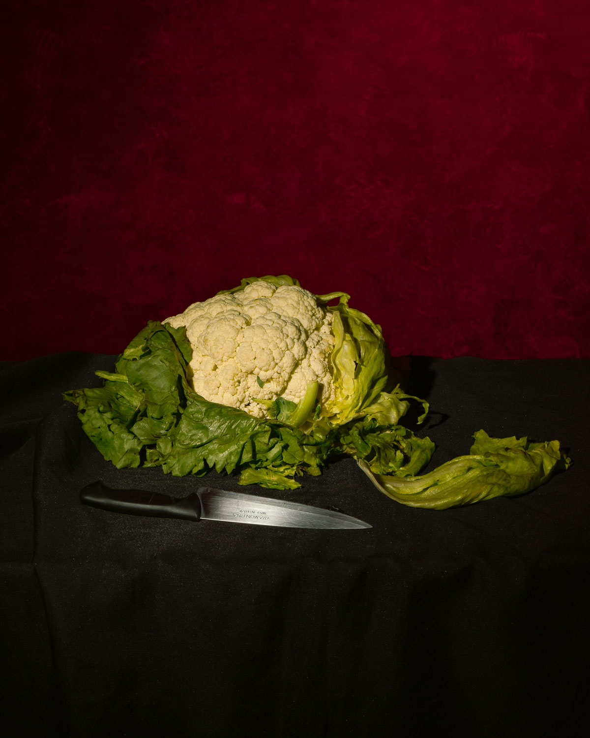 Fotografía de naturaleza en estudio